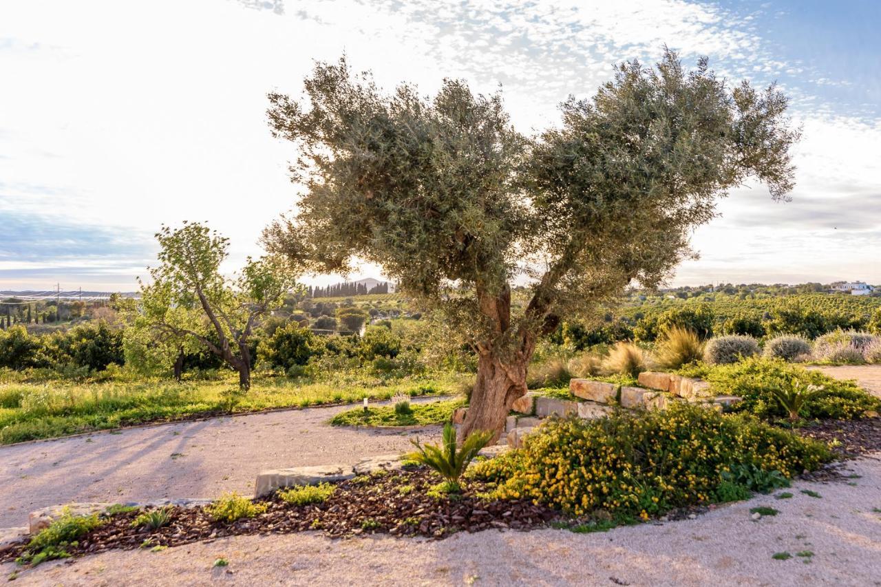 Вилла Quinta Da Baleeira Тавира Экстерьер фото